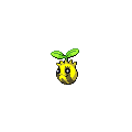 Pokemon MMO